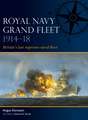 Royal Navy Grand Fleet 1914-18