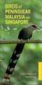 Birds of Peninsular Malaysia and Singapore