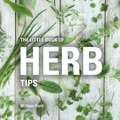 The Little Book of Herb Tips