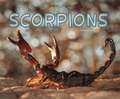 Davin, R: Scorpions