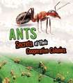 ANTS