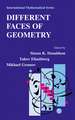 Different Faces of Geometry