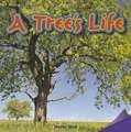 A Tree's Life