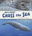 When Whales Cross the Sea: The Gray Whale Migration