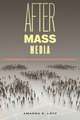 After Mass Media