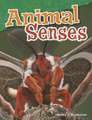 Animal Senses (Grade 4)