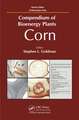 Compendium of Bioenergy Plants: Corn