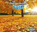 What Can You See in Fall?