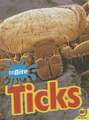 Ticks