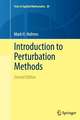 Introduction to Perturbation Methods