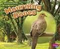 Mourning Doves