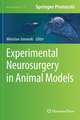 Experimental Neurosurgery in Animal Models