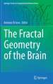 The Fractal Geometry of the Brain