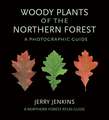 Woody Plants of the Northern Forest:: Woody Plants of the Northern Forest: