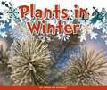 Plants in Winter