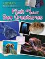 Fish and Other Sea Creatures