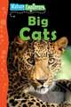 Big Cats