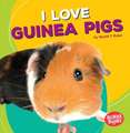 I Love Guinea Pigs