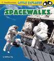 Spacewalks