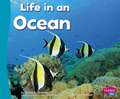 Life in an Ocean