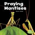 Praying Mantises