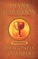 Dragonfly in Amber (25th Anniversary Edition)