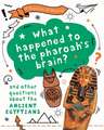 A Question of History: What happened to the pharaoh's brain? And other questions about ancient Egypt