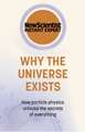 Why the Universe Exists