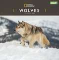 WOLVES NATIONAL GEOGRAPHIC SQUARE WALL C