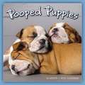 POOPED PUPPIES