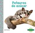 Petauros de Azúcar (Sugar Gliders)