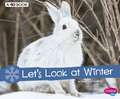 Let's Look at Winter