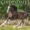 CLYDESDALES 2022 WALL CALENDAR