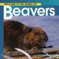 Welcome to the World of Beavers