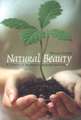 Natural Beauty: A Theory of Aesthetics Beyond the Arts