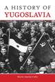 The History of Yugoslavia