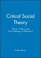 Critical Social Theory: Culture, History, and the Challenge of Difference