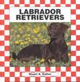 Labrador Retrievers