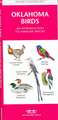 Oklahoma Birds: A Folding Pocket Guide to Familiar Species