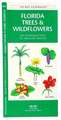 Florida Trees & Wildflowers: A Folding Pocket Guide to Familiar Species