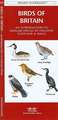 Birds of Britain: A Folding Pocket Guide to Familiar Species of England, Scotland & Wales