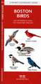 Boston Birds: An Introduction to Familiar Species