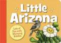 Little Arizona