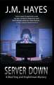 Server Down: A Mad Dog & Englishman Mystery