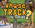 Whose Track Is That?