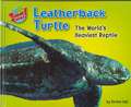 Leatherback Turtle: The World's Heaviest Reptile