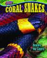 Coral Snakes: Beware the Colors!