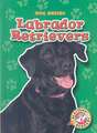 Labrador Retrievers