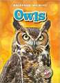 Owls