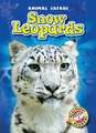 Snow Leopards